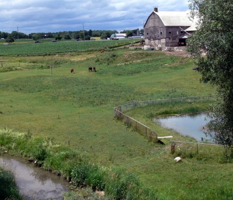 July 1-14-Mennonite-1024-country