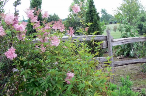 July 15-14-Queen of the -1024-Prairies & rails