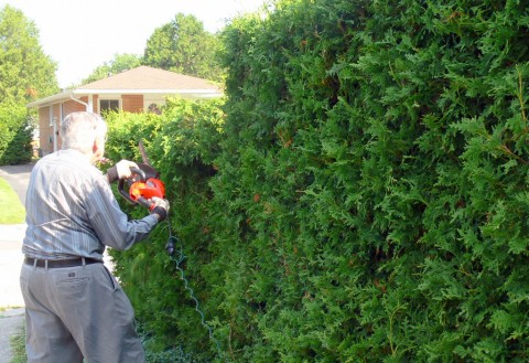 July 18-14-trim-hedge-1024-