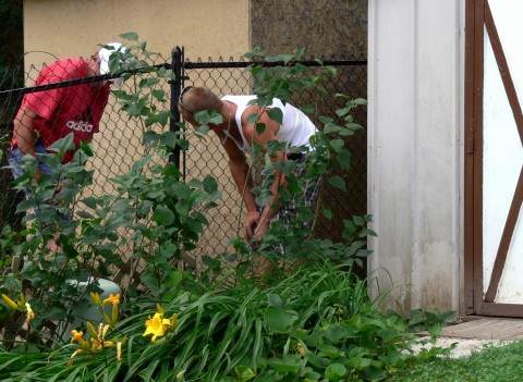 July 23-14-men installing fence