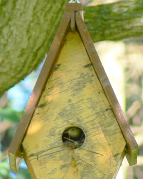 July 3-14-Peek-a-1024-boo