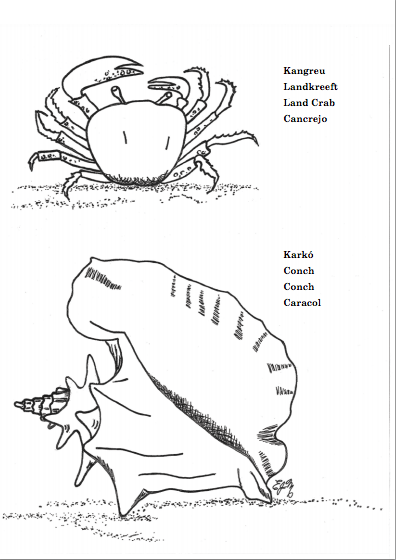 conch_and_crab