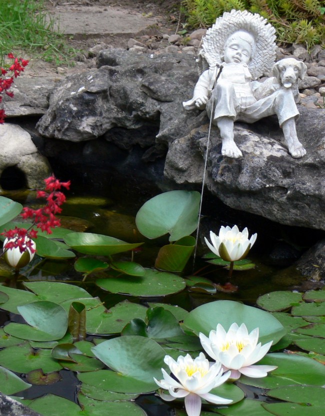 2016-06-20b-three waterlilies and 1 bud